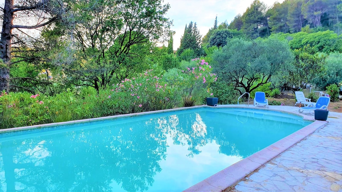 位于普罗旺斯/松林的Villa Cigalons加热泳池