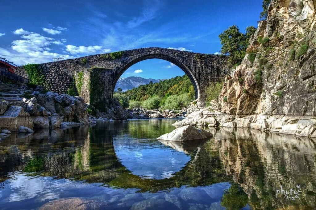 Caceres El Lago旅舍-便宜的四人房-标准房价