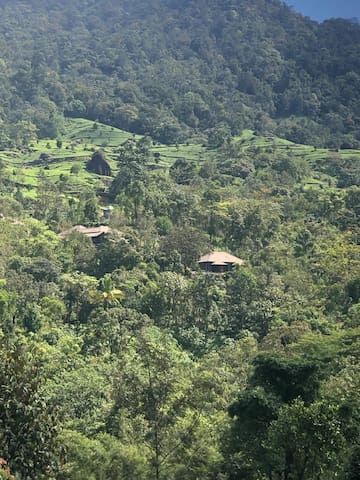 慕那尔(Munnar)的民宿