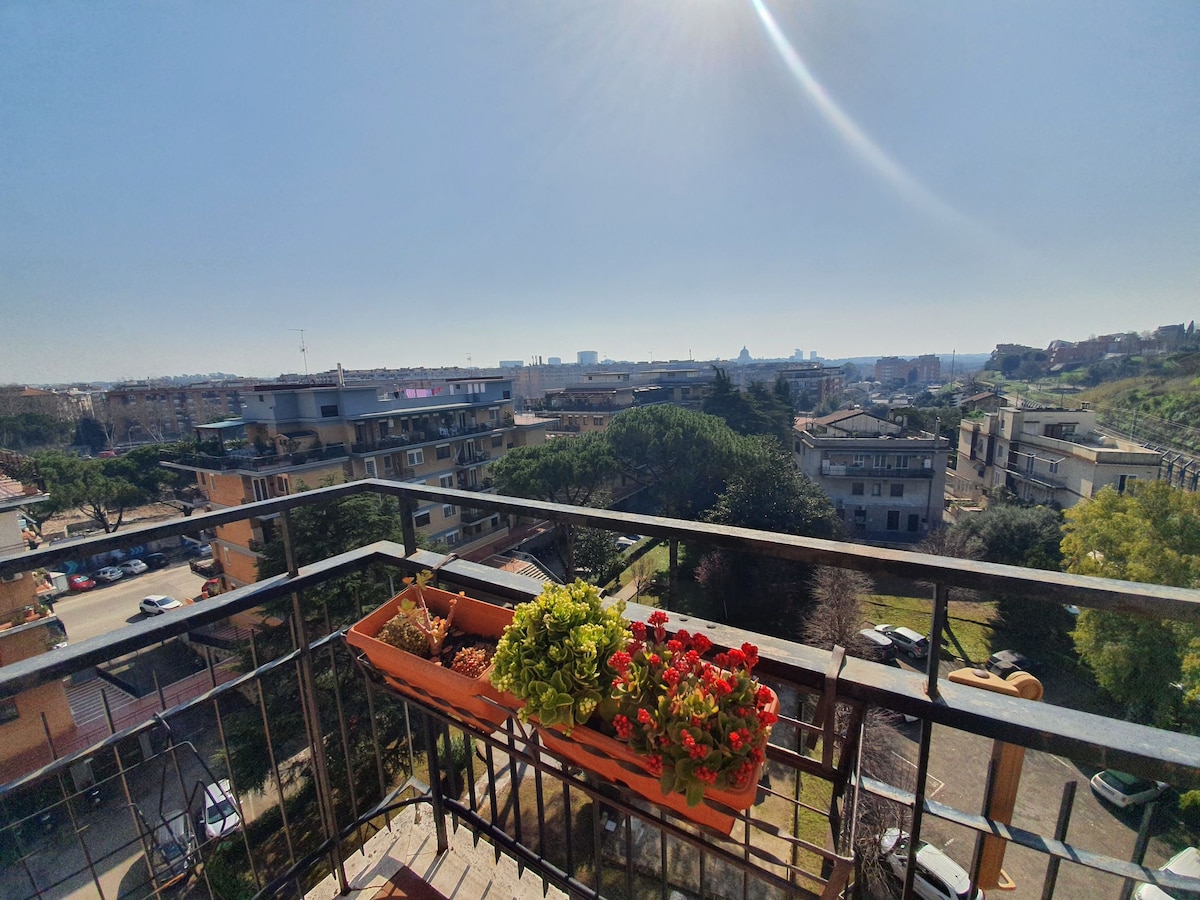 罗马顶层公寓