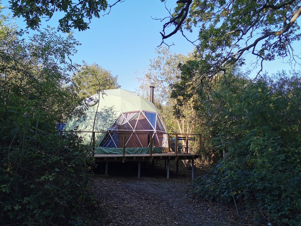 Glamp Wight Oak Geodesic Dome on the Isle of Wight