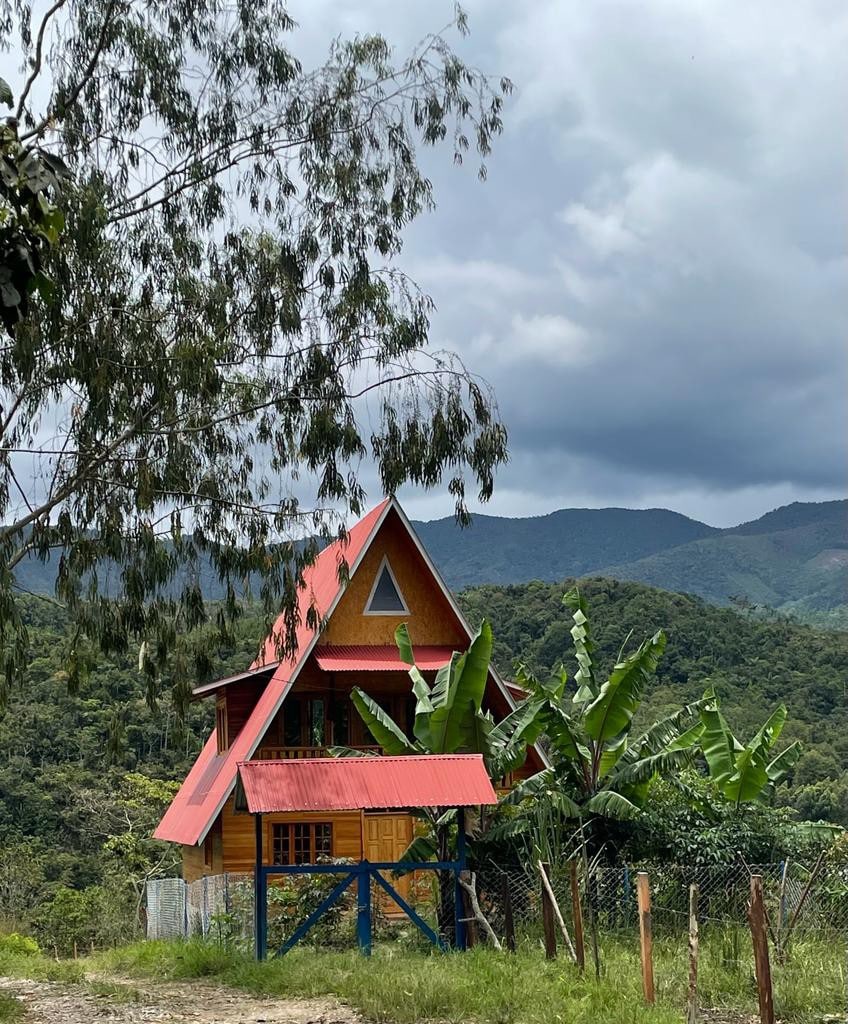 Cabañita en medio del bosque