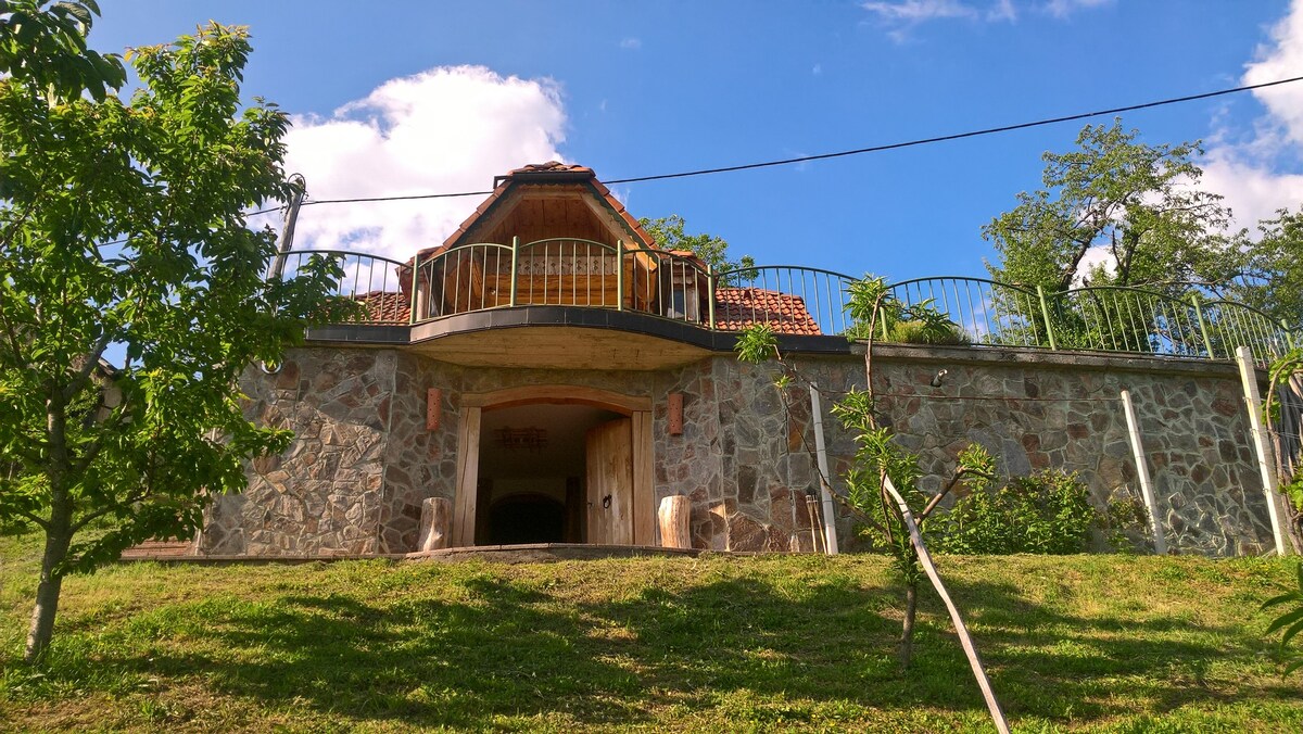 Vineyard cottage Janko in Metka