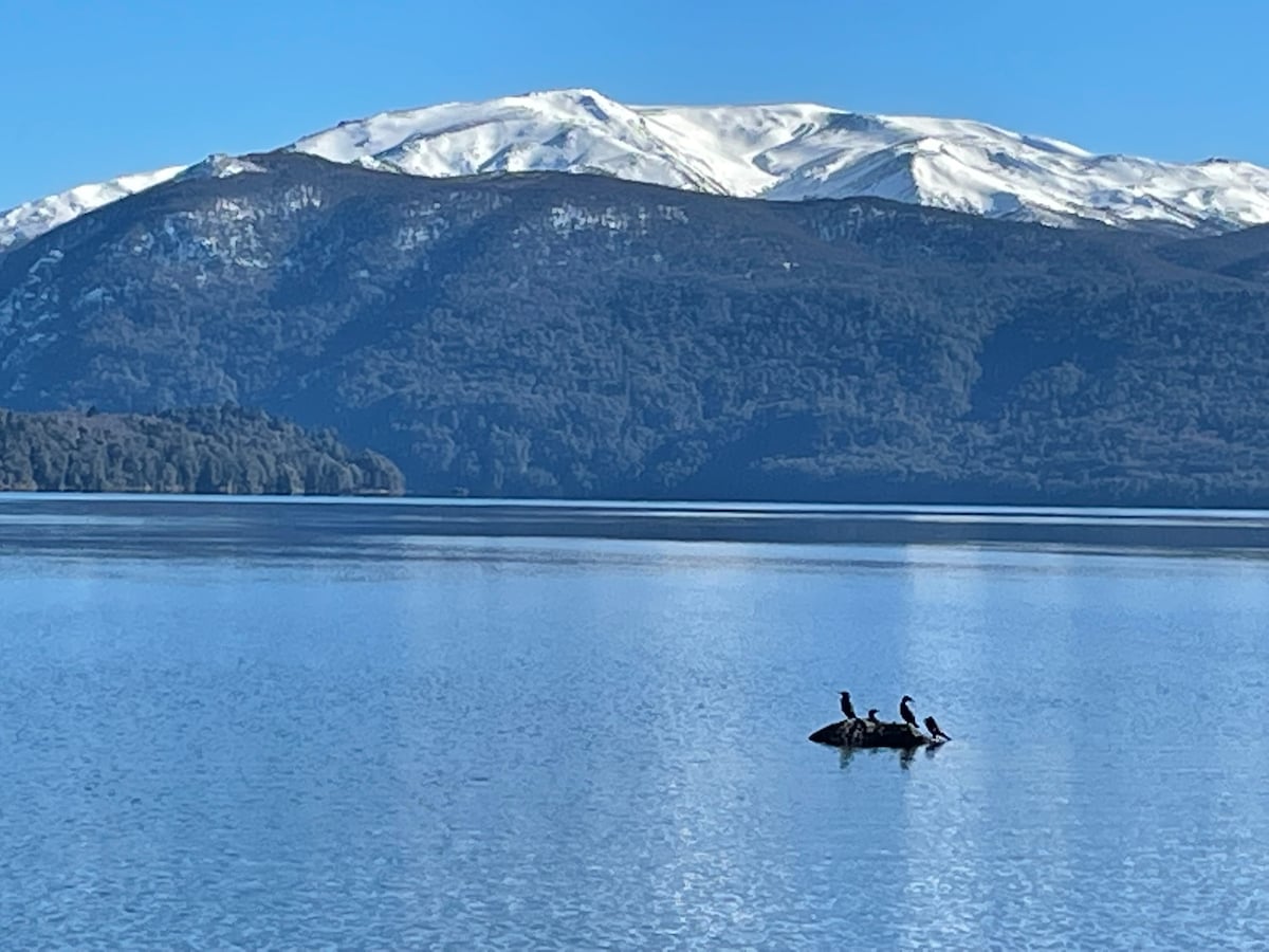 Lago Lolog海岸的Cabaña公寓式公寓