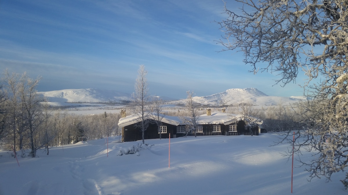 Cottage at Venabygdsfjellet Rondane - min 3 nights