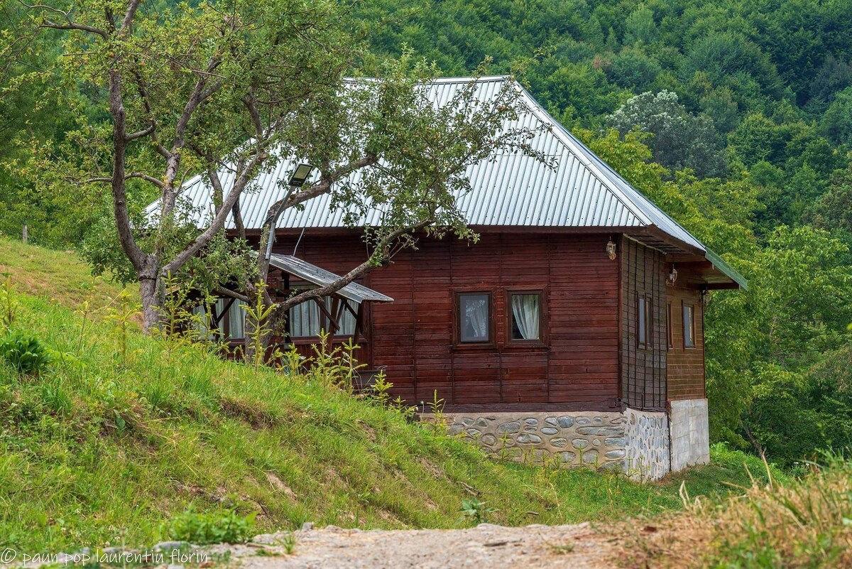 Valea Lui Mas小木屋，您的宁静绿洲🦉