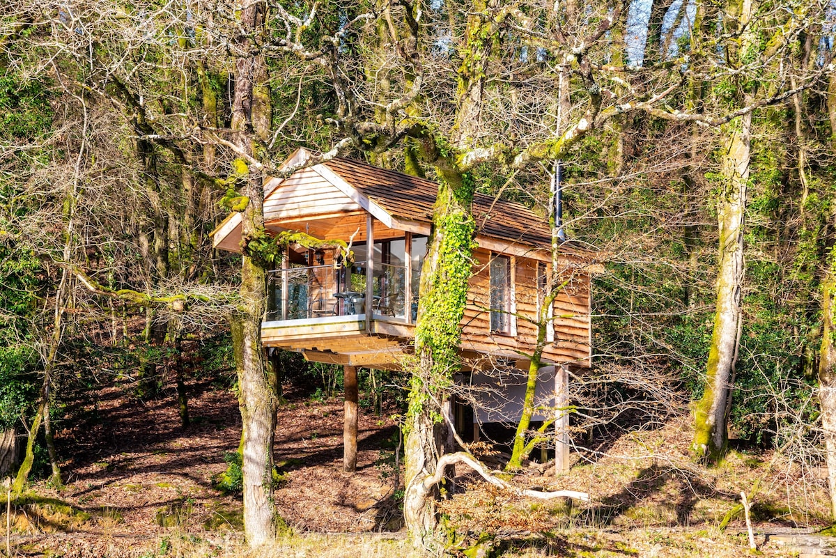 Finest Retreats | Yeworthy Eco-Treehouse
