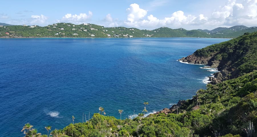 夏洛特阿马利亚 (Charlotte Amalie)的民宿