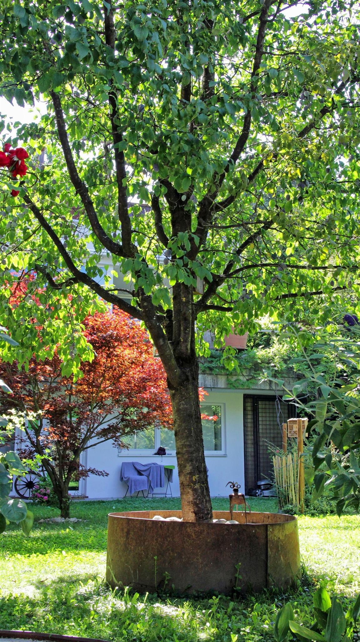 Studio im Garten - Nigler公寓