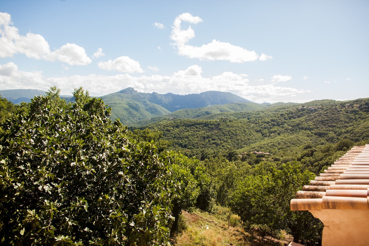 Les Jardins de Lacamp, un paradis en sud Cévennes