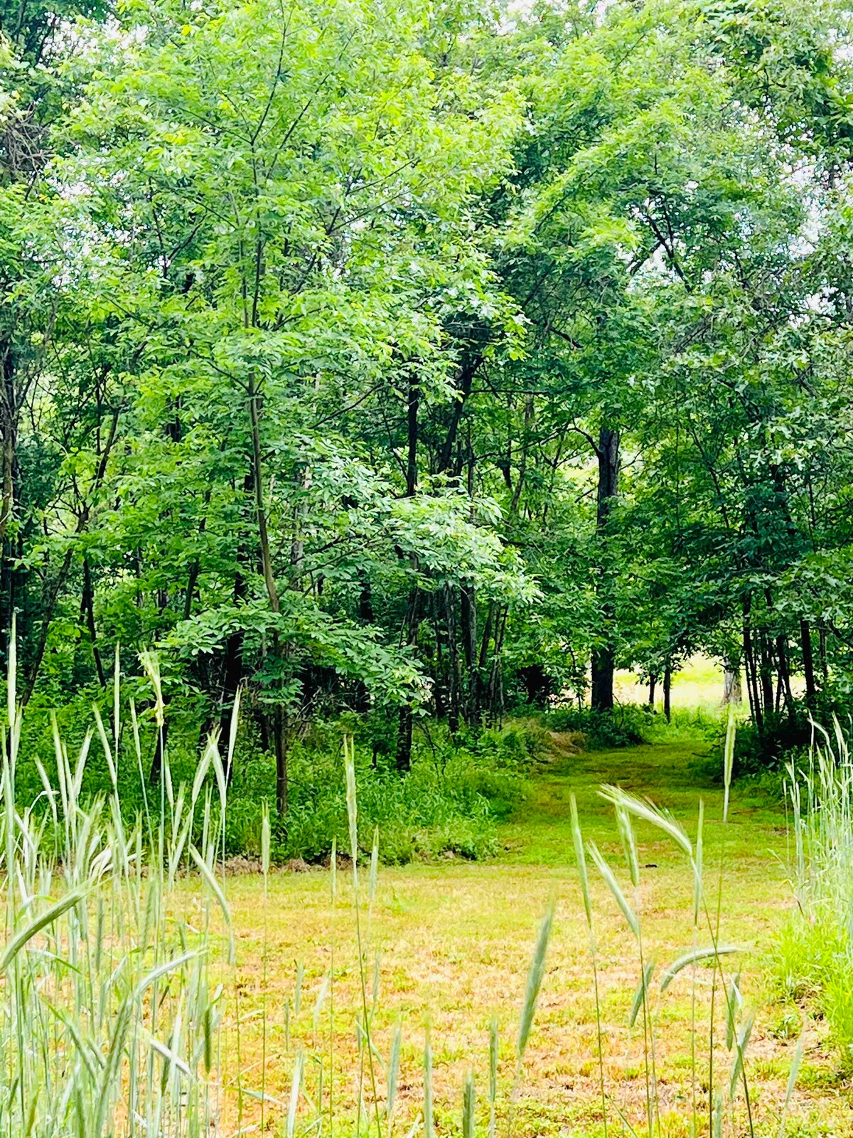 Green Acres: Susquehanna Rvr & Hyner View: Nest 3