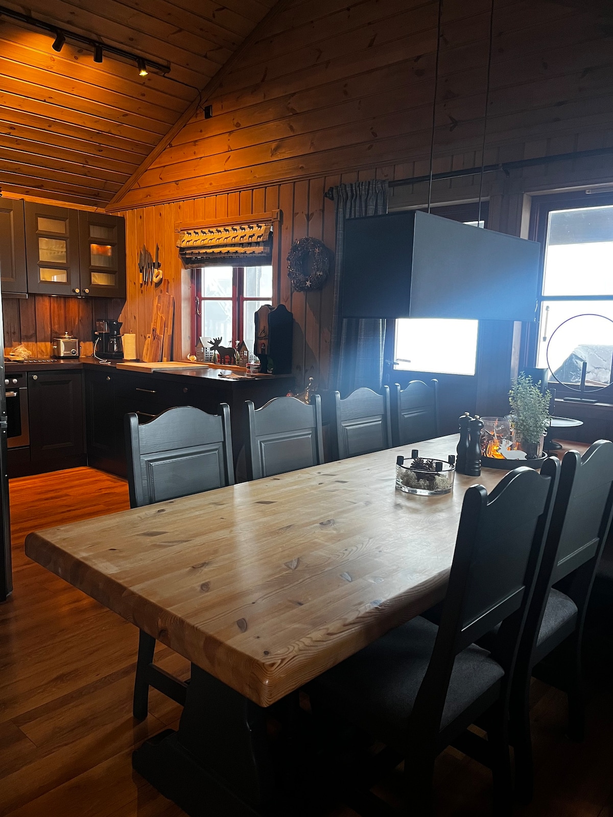 Orren cabin med ski inn and out