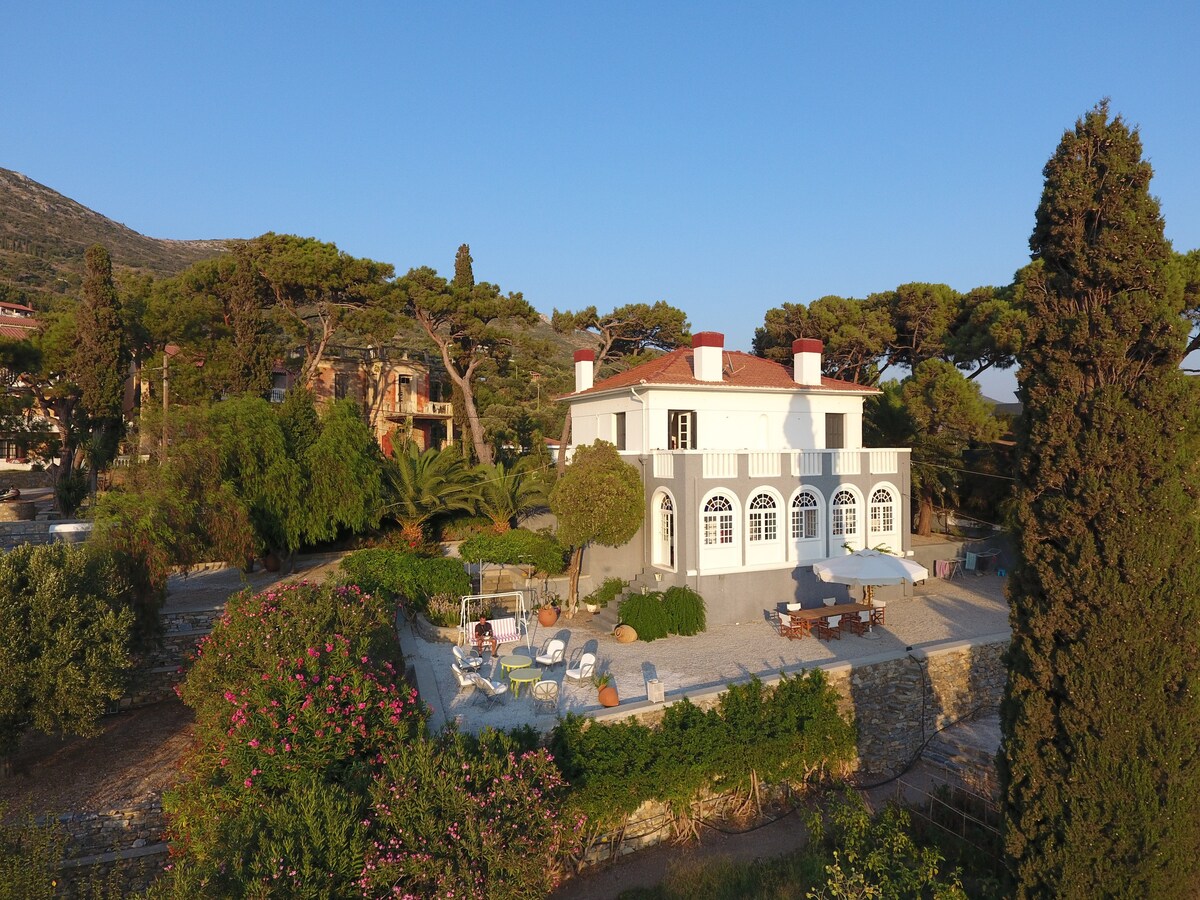 Spectacular 1925 Mansion