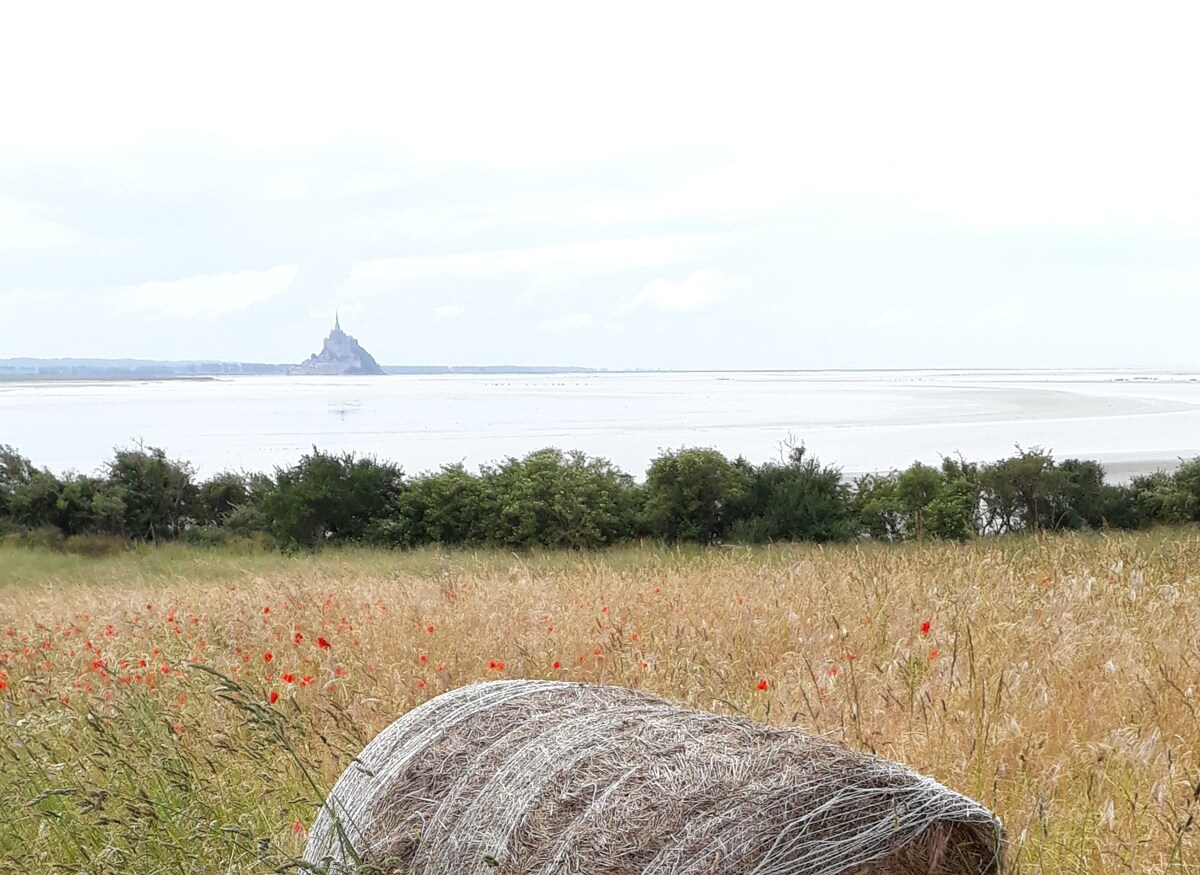 La Bulle En Baie, Mont Saint-Michel!, 1/4人