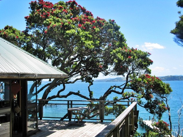 Kawau Island Treehouse
