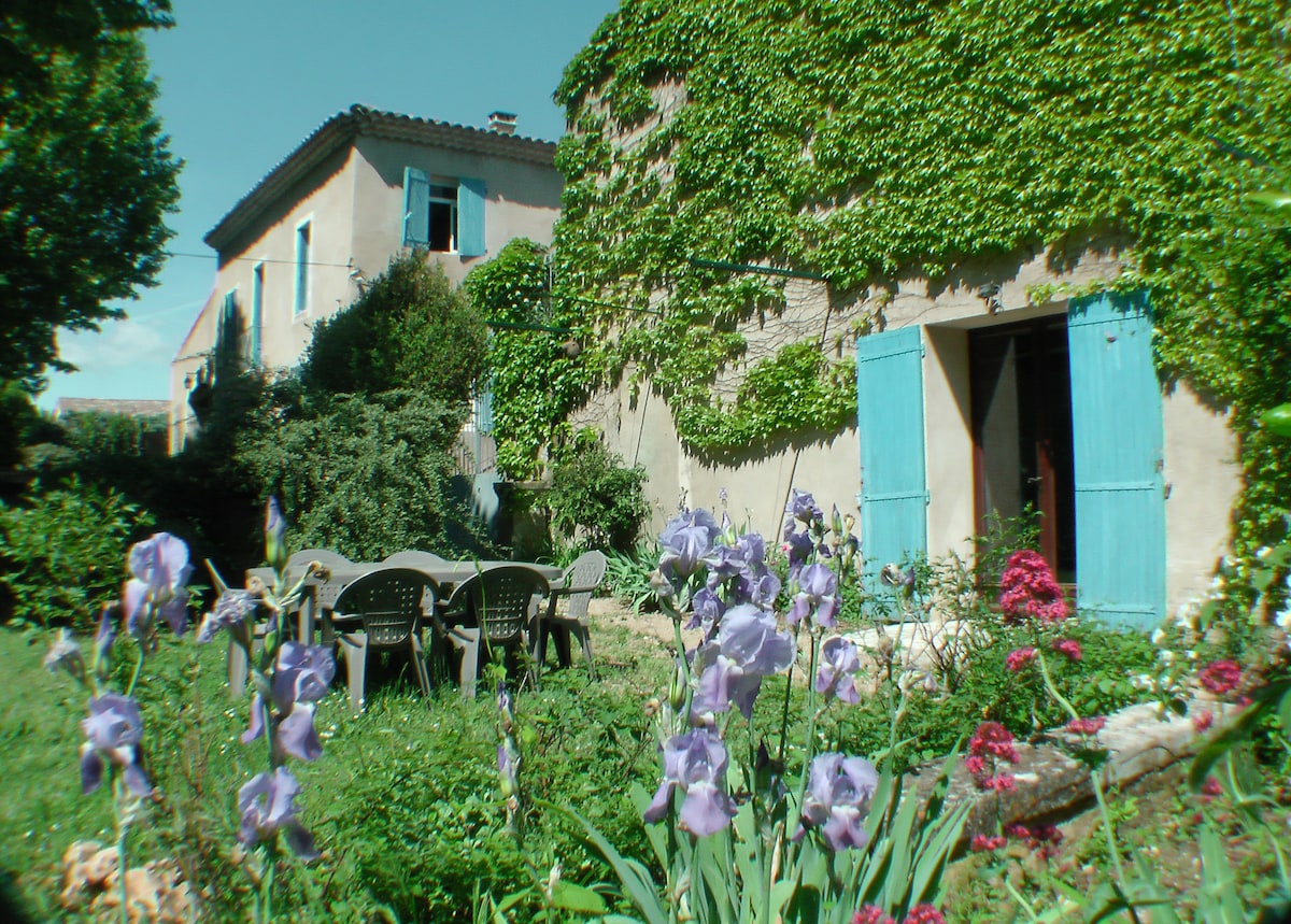 Moulin Des Ocres - Eglantier