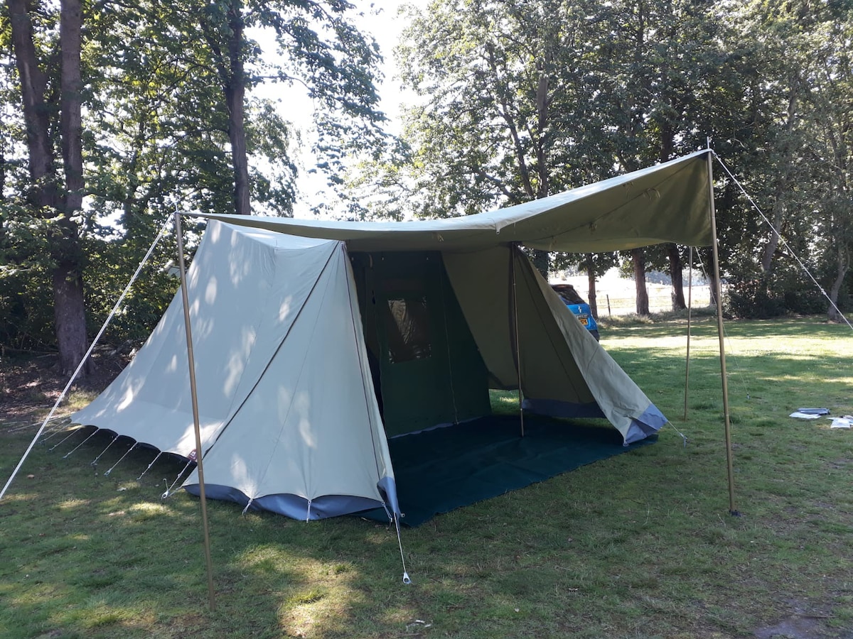 大自然中的舒适帐篷，直至2024年8月1日