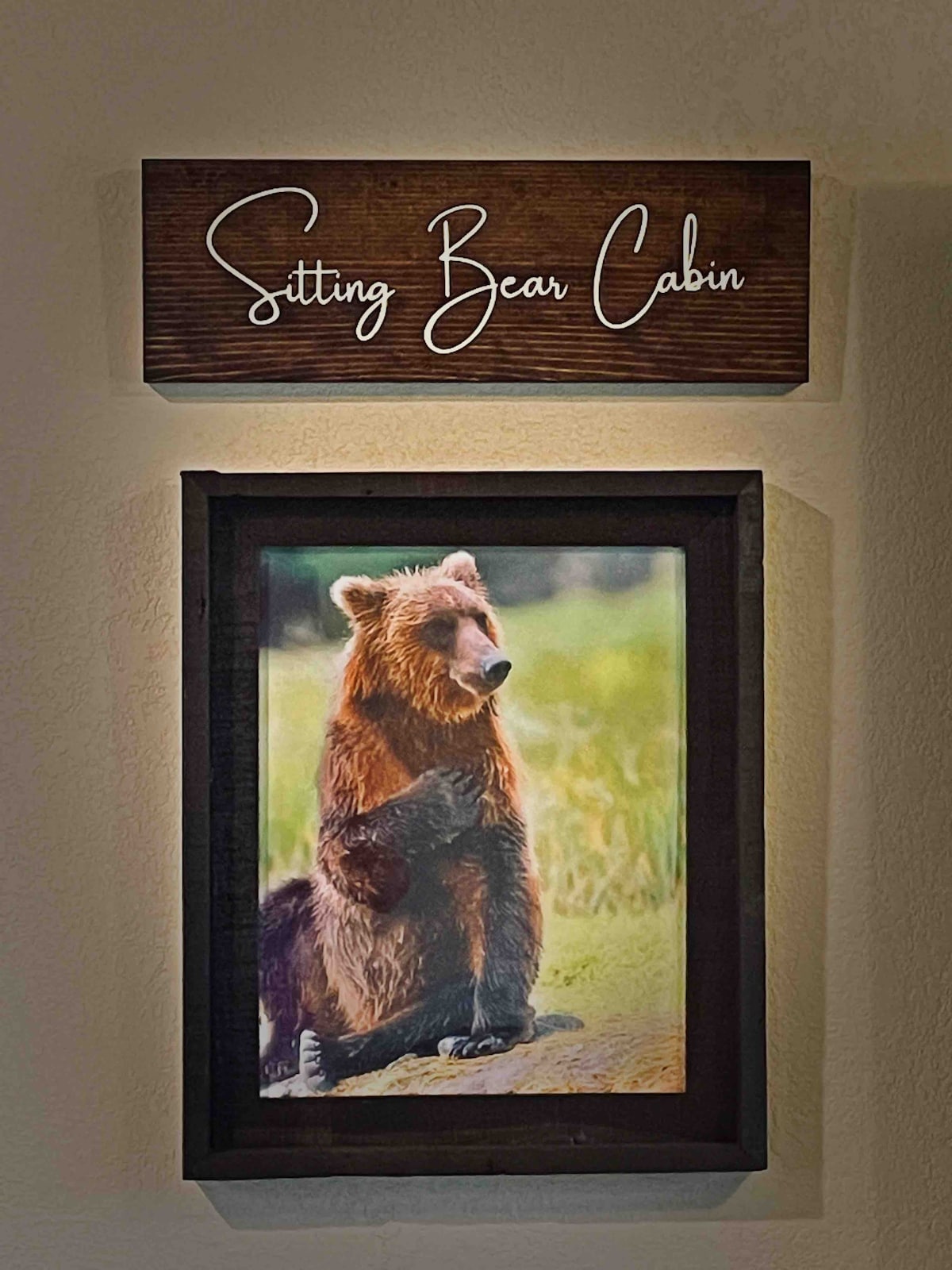 Sitting Bear Cabin