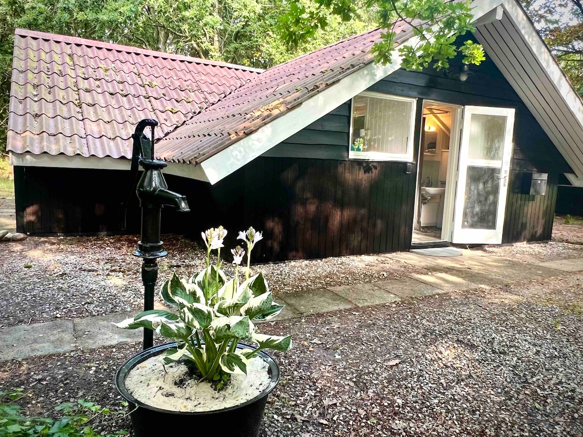 House “Impuls” by the Lake under old trees