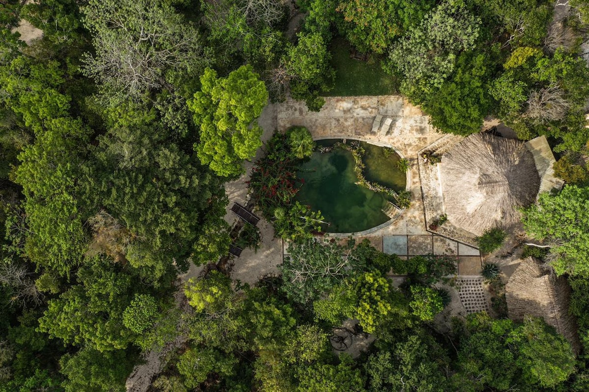自然和令人惊叹的Silvia小屋、Ruta de Cenotes