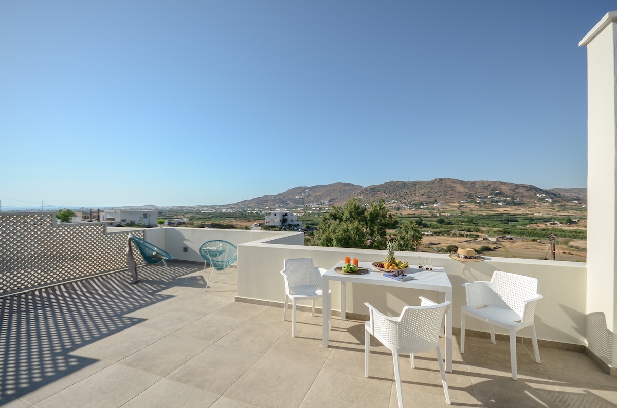 Serenity houses Naxos, amazing view, huge veranda.