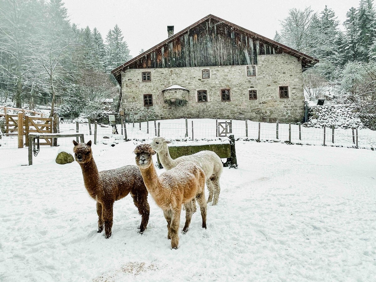 Gite à la ferme B&B距离Lac de Gerardmer仅5分钟路程