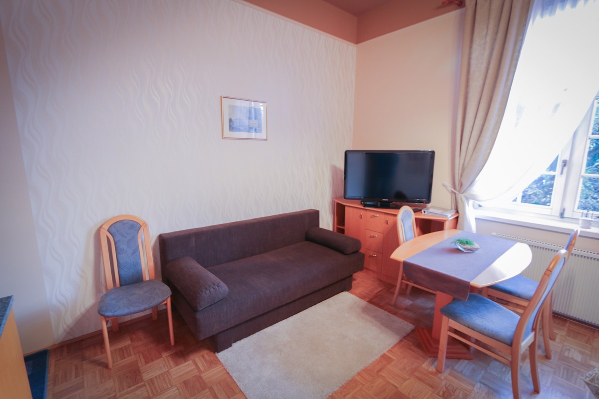 位于罗加什卡（ Rogaška ）市中心的舒适公寓24