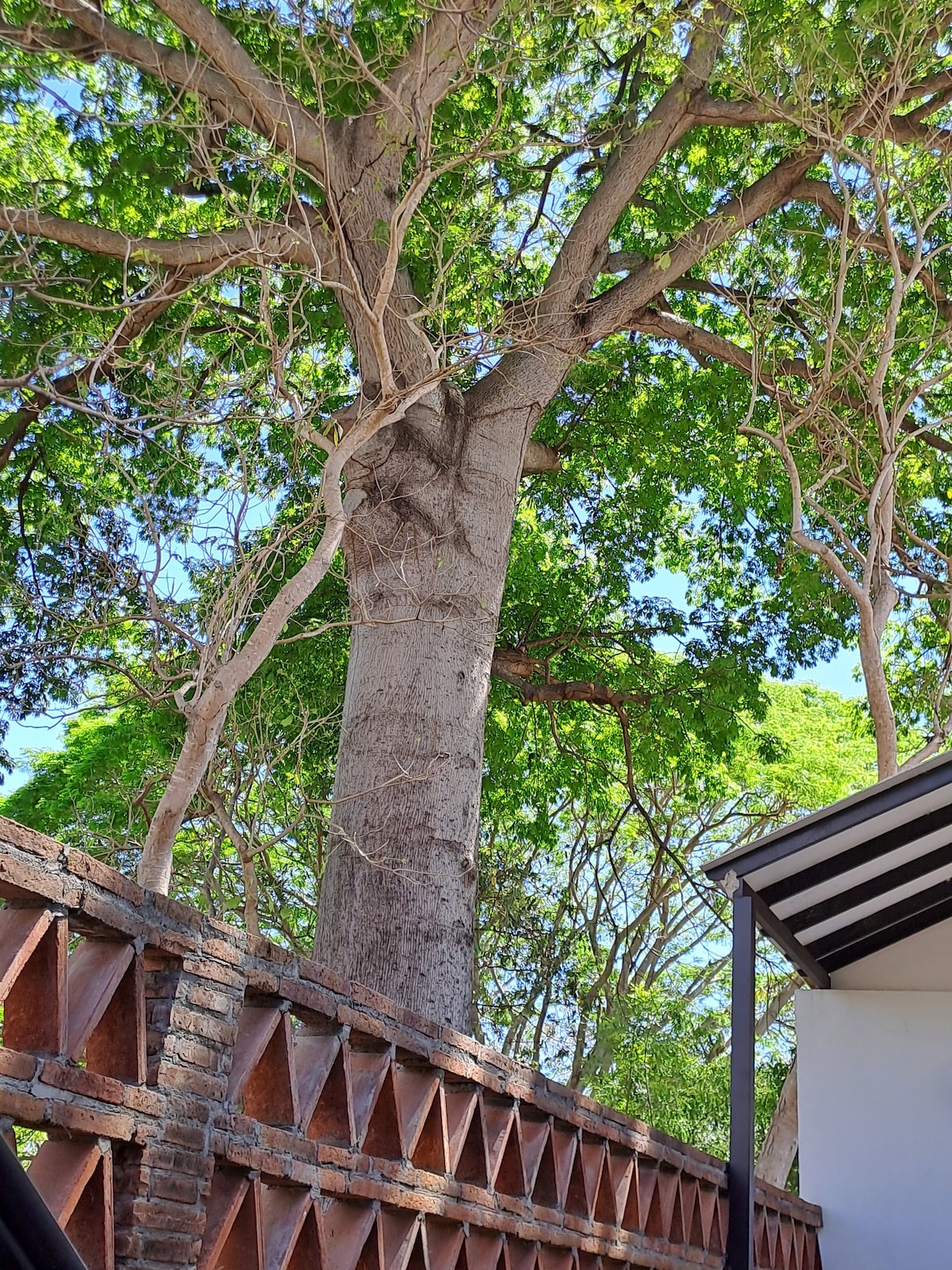 Casa arbolada con piscina, terraza y cochera.