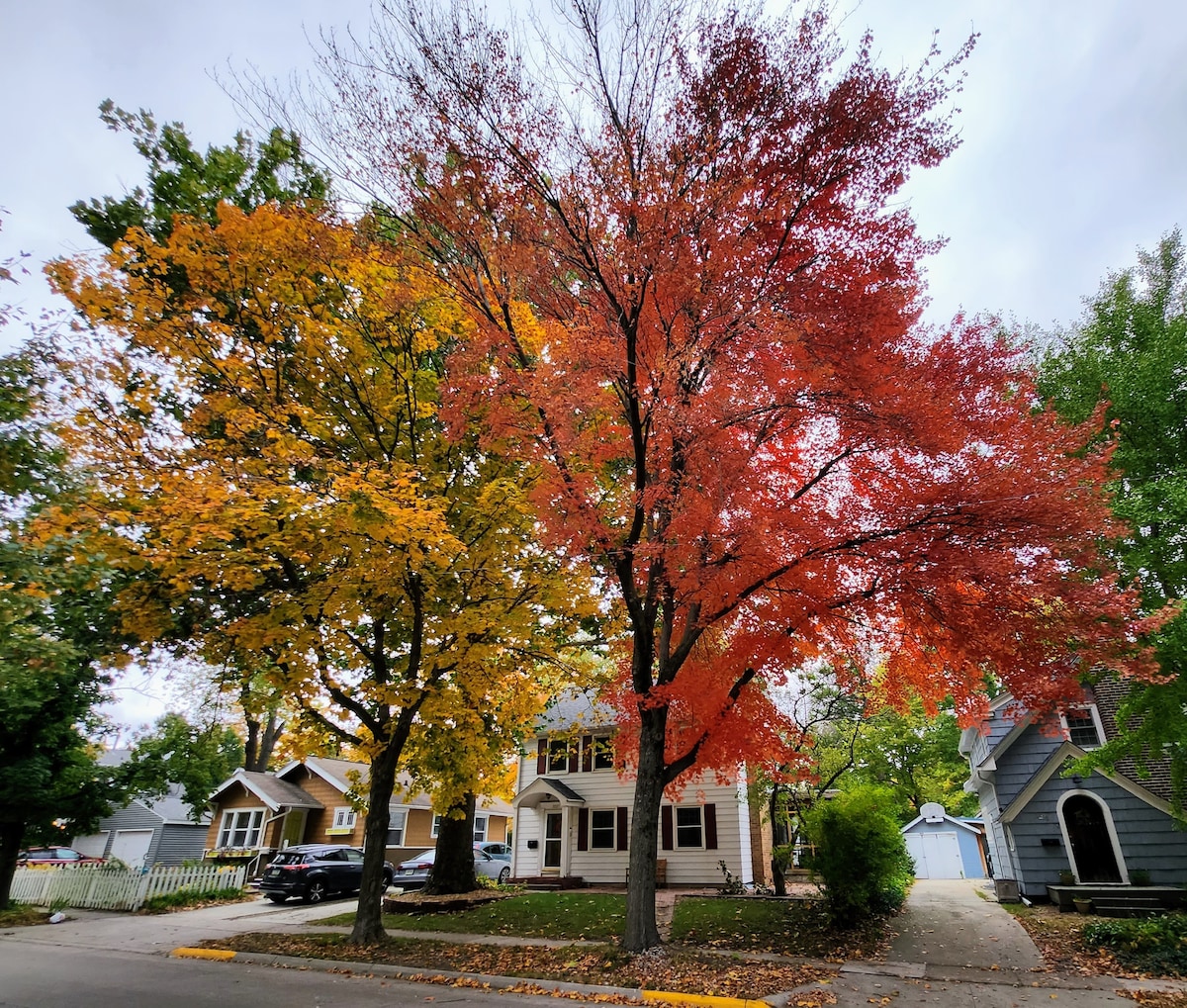 Walk to ISU | Jack Trice | Quiet Neighborhood