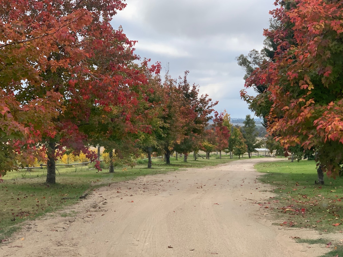 Banksia Cottage - Stanthorpe