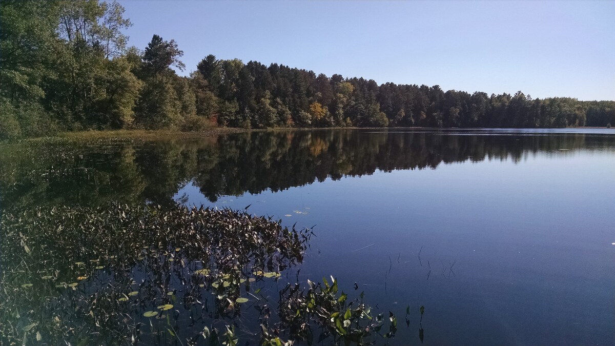 Burnett County Forest上的Banach Lake Campsite