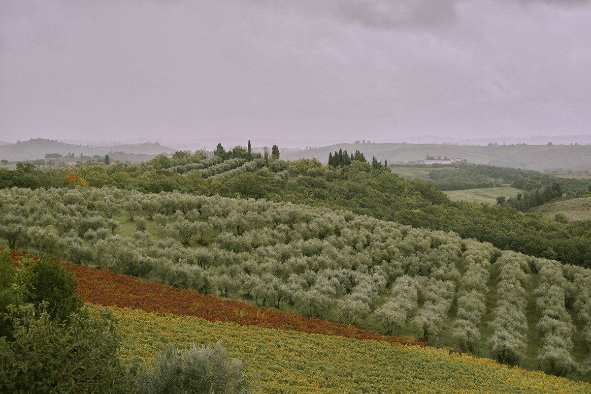 Bibbiano - Il Pero