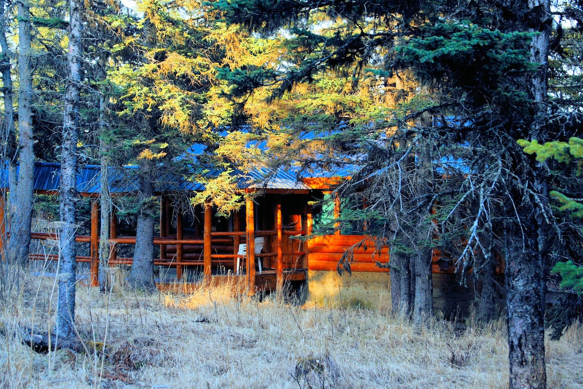 Moose Cabin度假屋