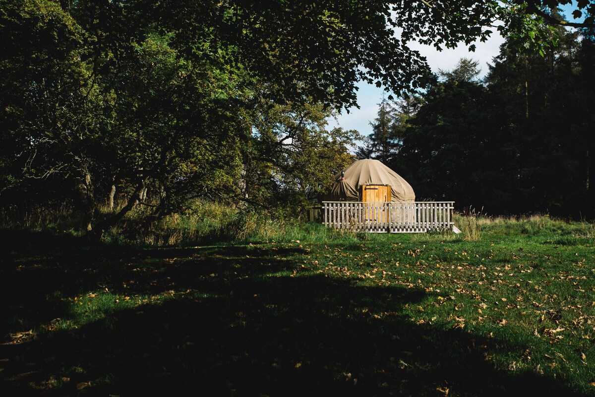 Ash - Yurt