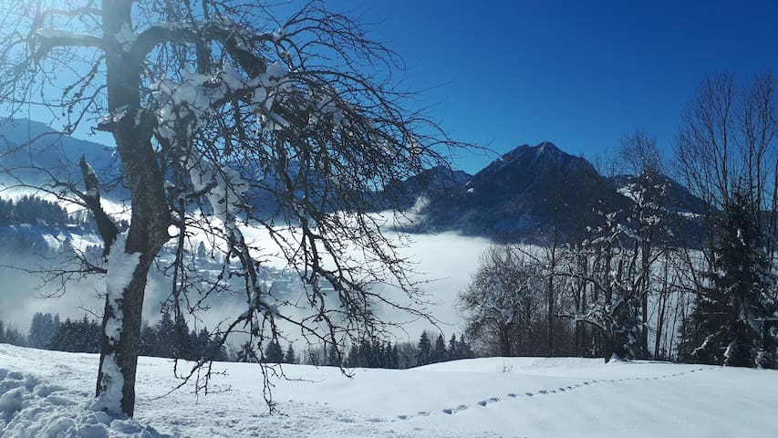 多恩比恩 (Dornbirn)的民宿