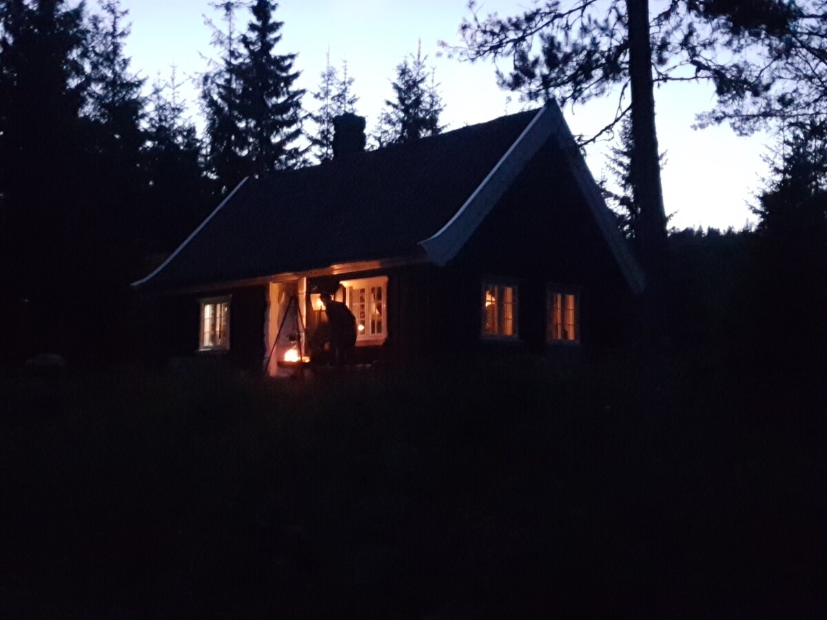 奥斯陆地区。森林中的房子，体验安静
