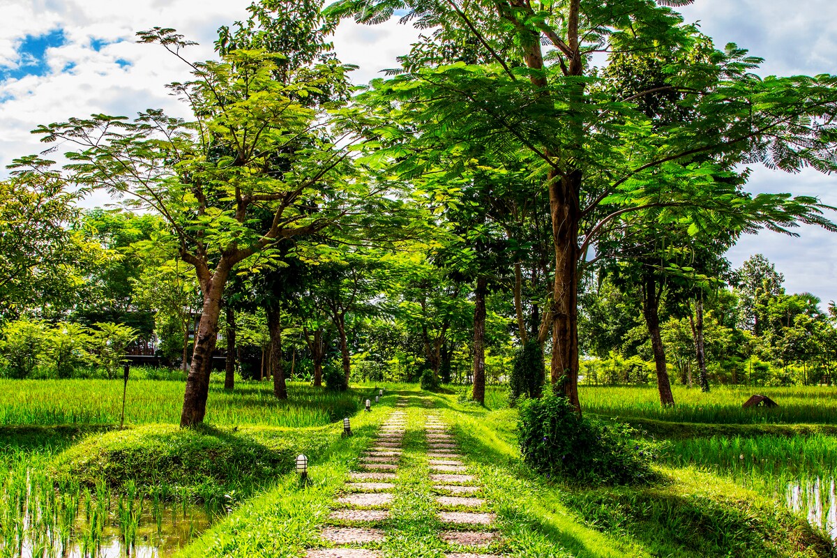 河畔度假村