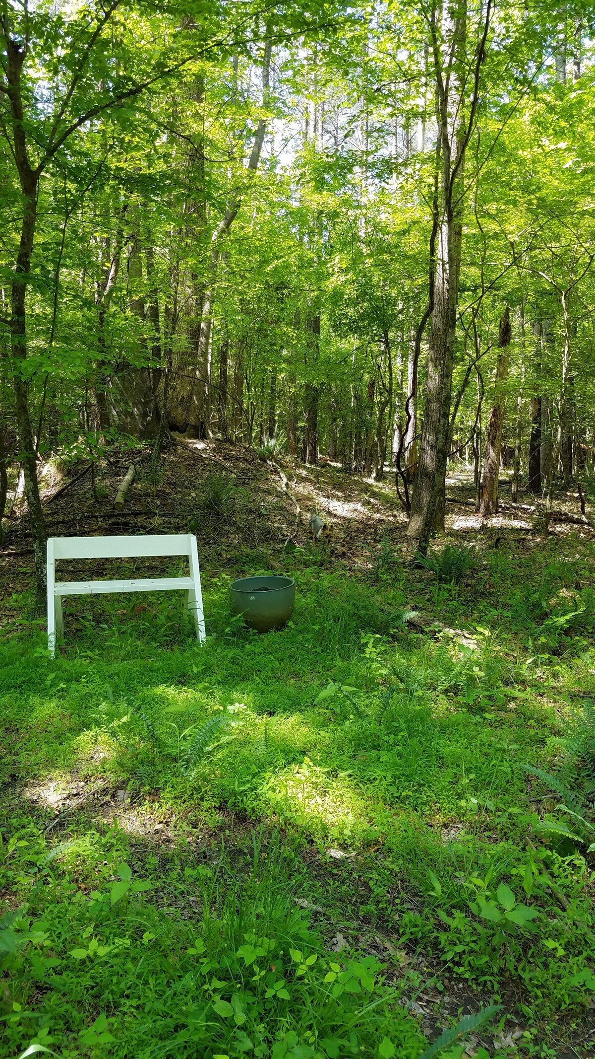 普里什蒂纳天堂林地度假屋露营地