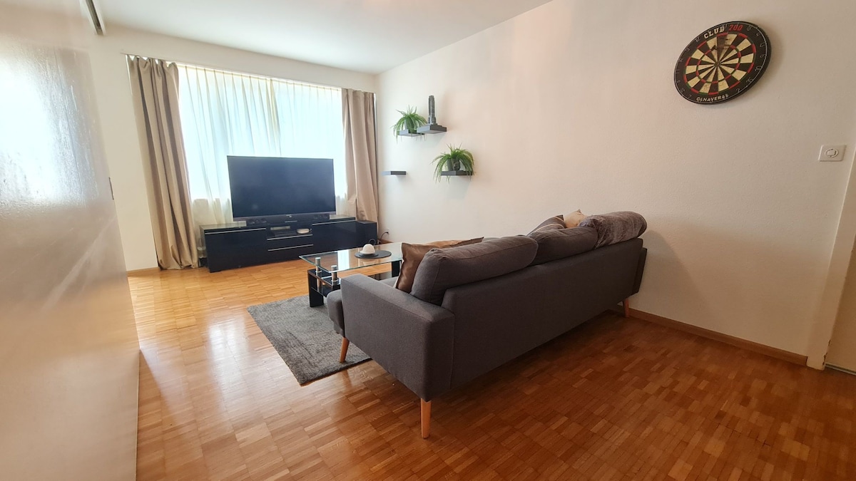 Basel cozy one-bedroom flat