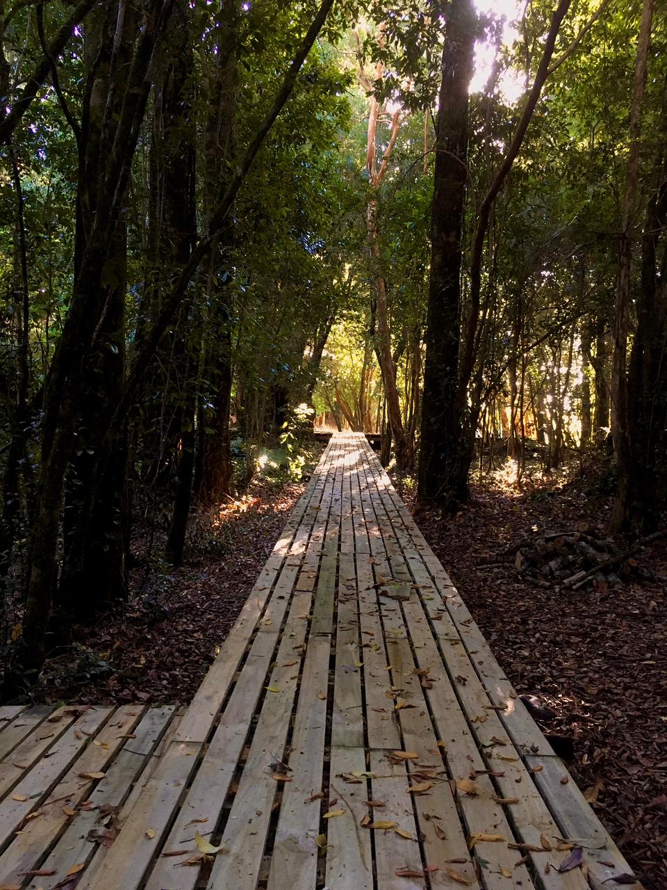 Bosque Cabin - Bosque Chucao