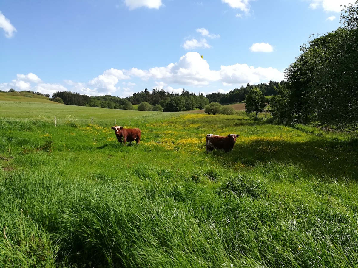 Landlig idyl i Vendsyssel (Karlens Værelse)