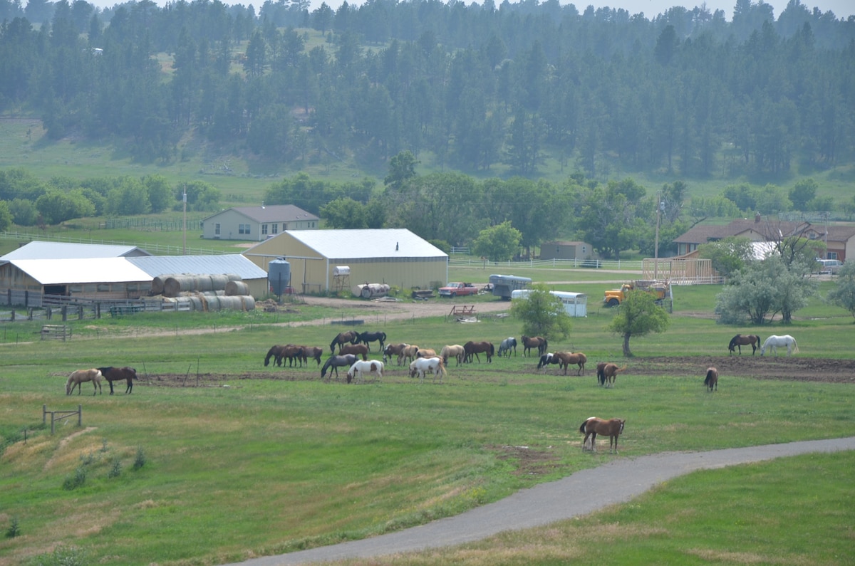 Kara Creek Ranch - 3 Bed Cabin (#1)