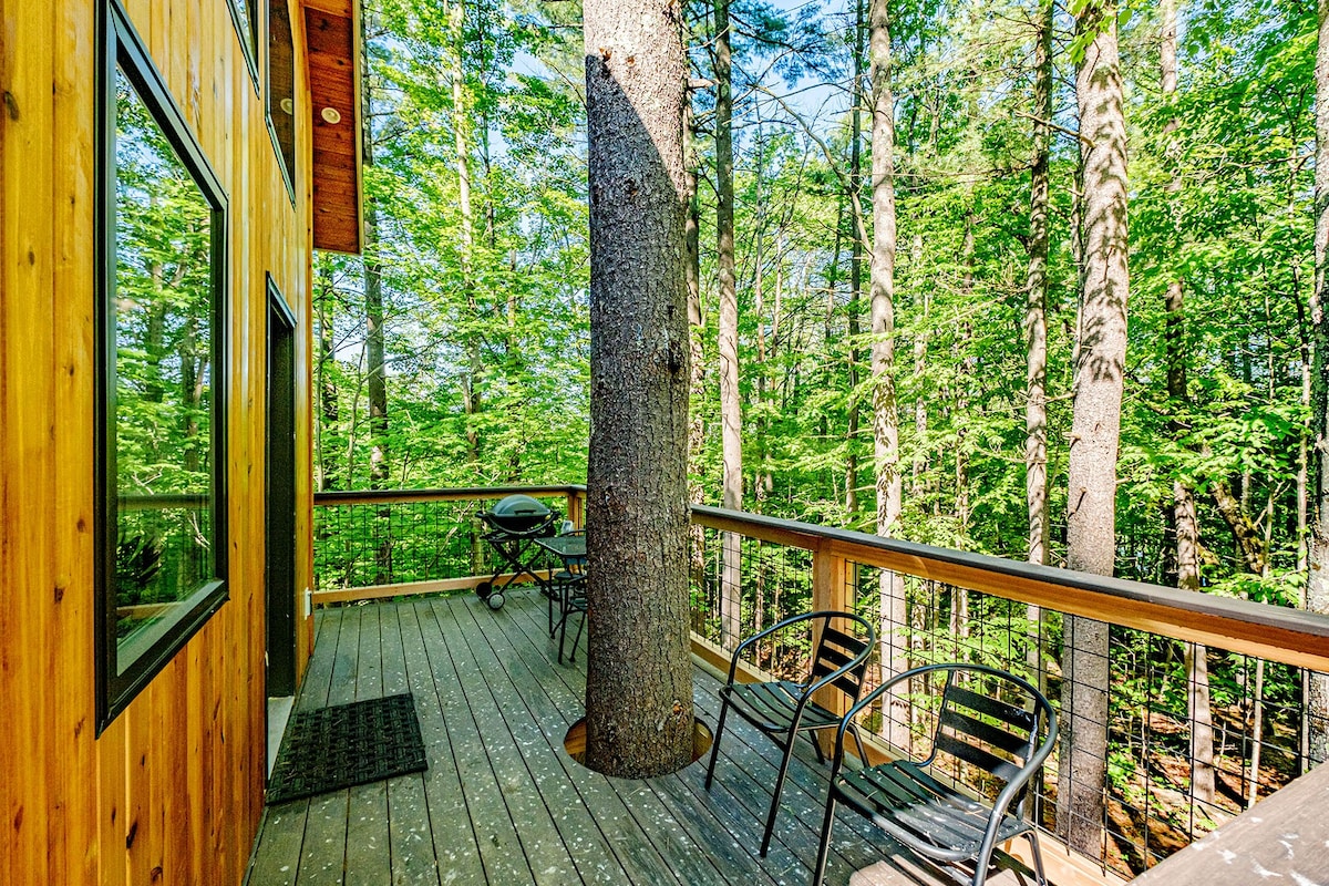 The Canopy Treehouse ，豪华无碳度假胜地