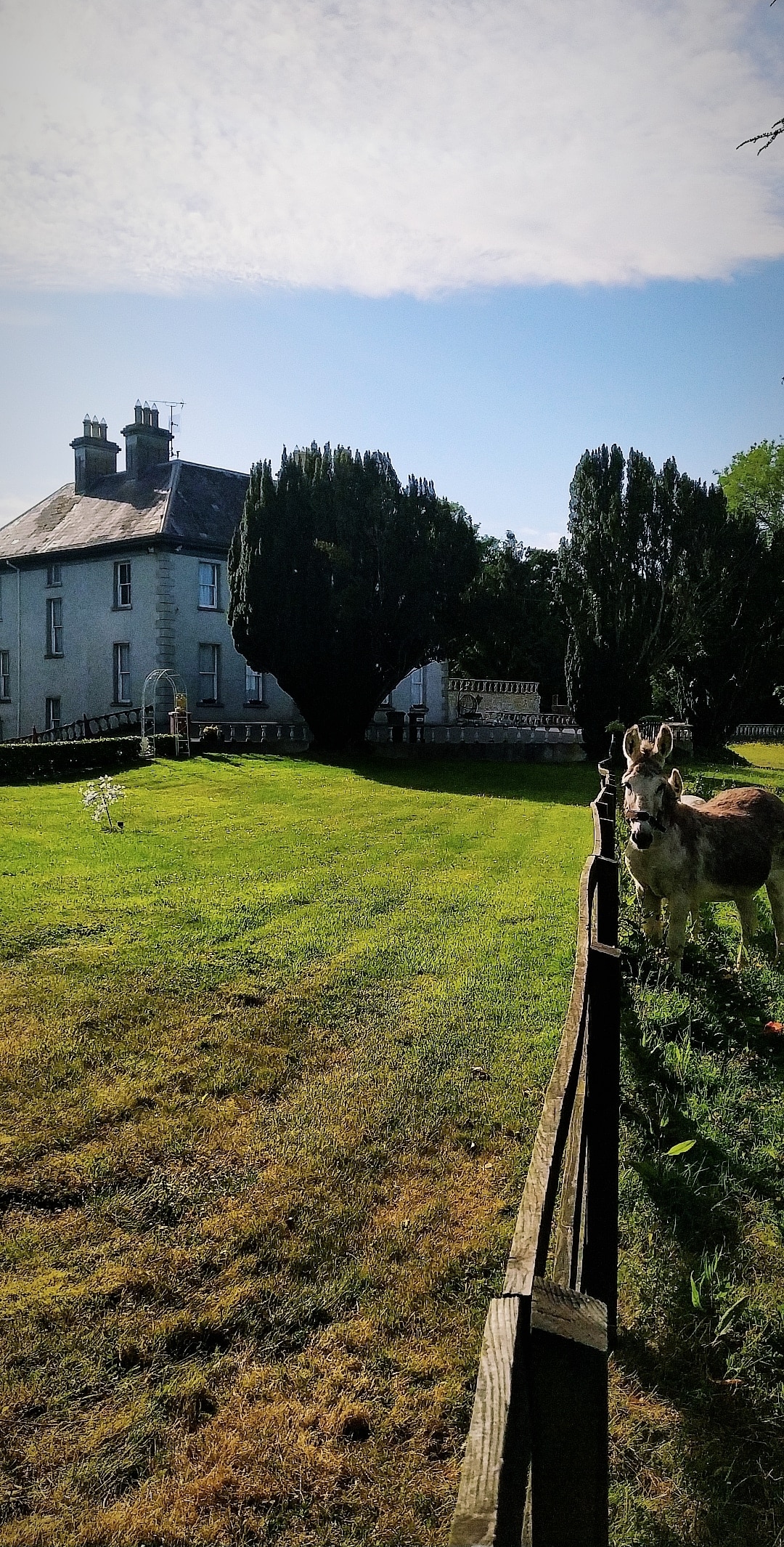 Period Irish Manor - Ballycumber House