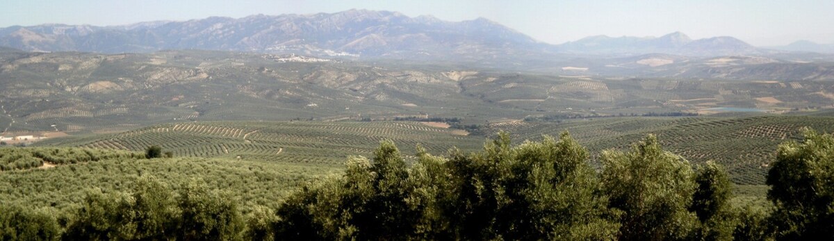 Vivienda Rural en Jaén ，毗邻Sierra de Cazorla