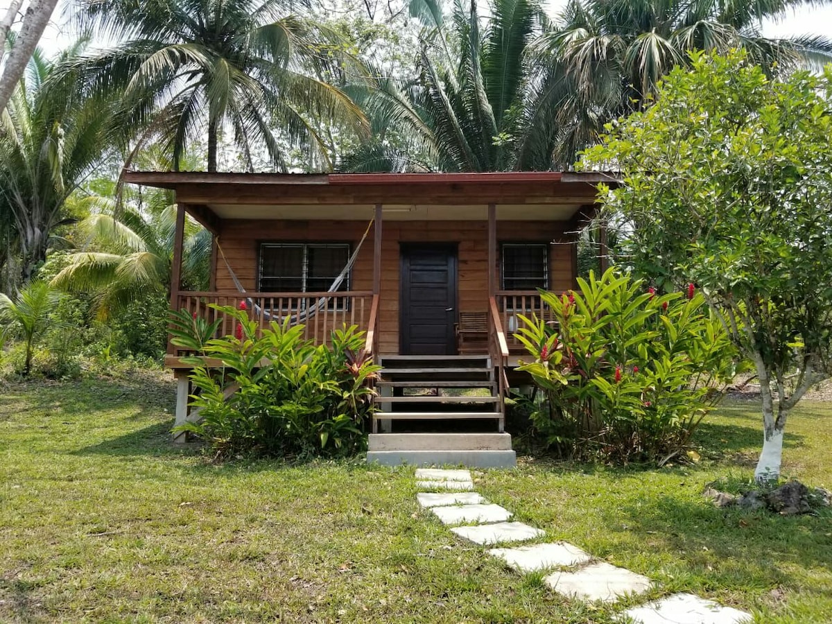 Rustic hardwood cabin in the tropical rainforest.