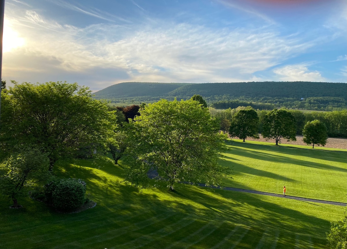 宾夕法尼亚州博尔斯堡房源，可欣赏尼塔尼山的美景