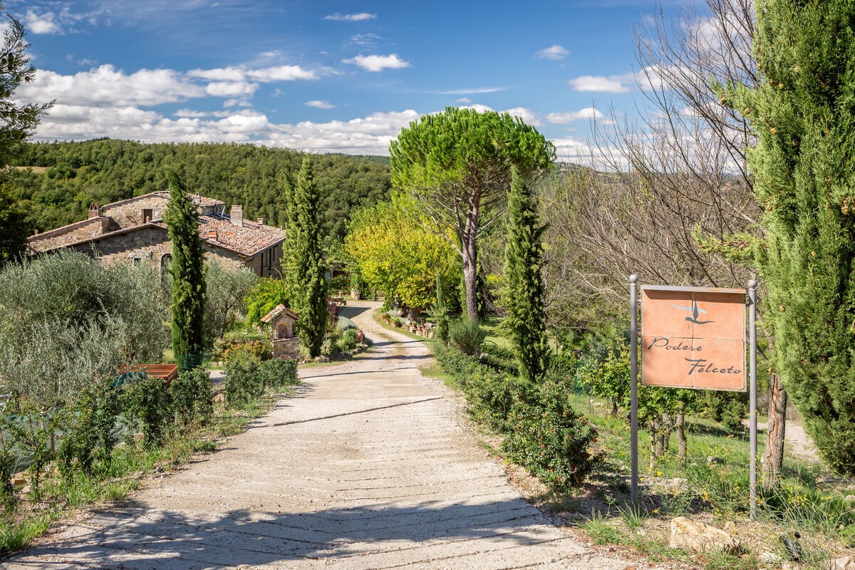 家庭经营的有机Agriturismo -别墅