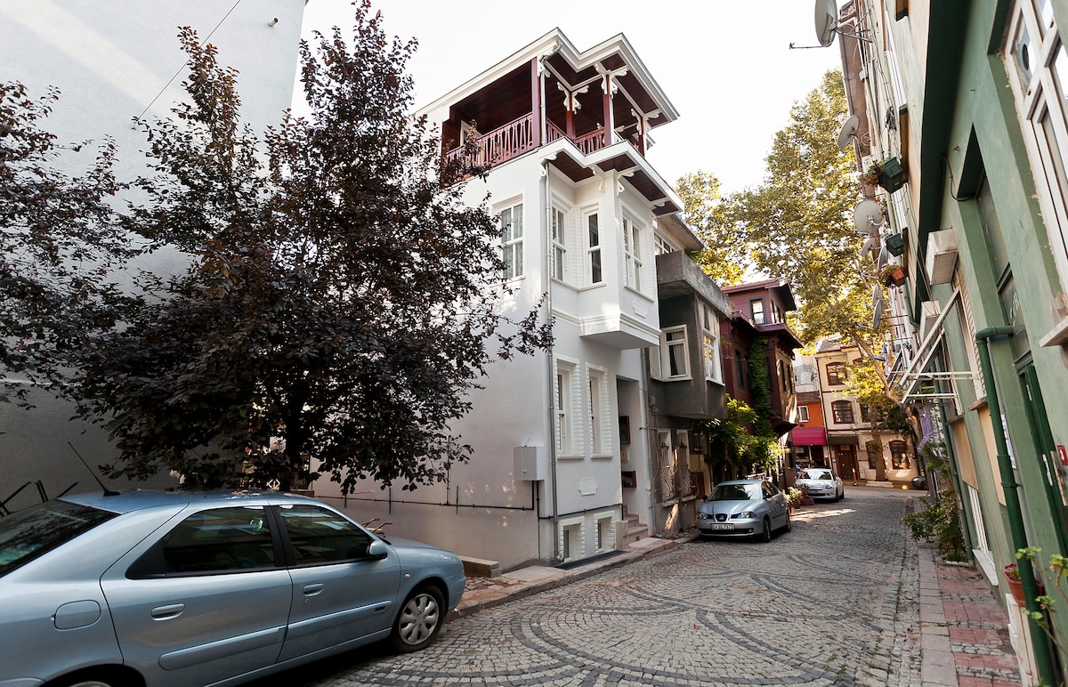 经过全面修复的历史悠久的Kuzguncuk公寓