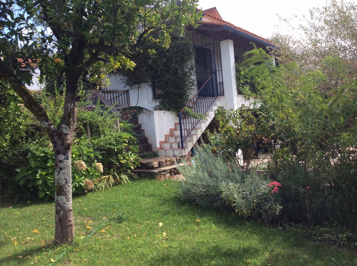科英布拉「casinha」附近的田园诗般的小房子